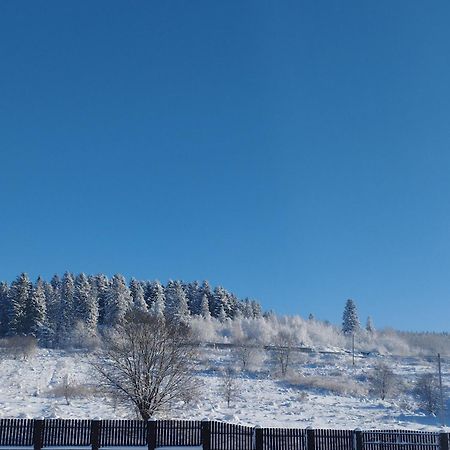 Перлина Карпат Apartment Skhidnytsia ภายนอก รูปภาพ