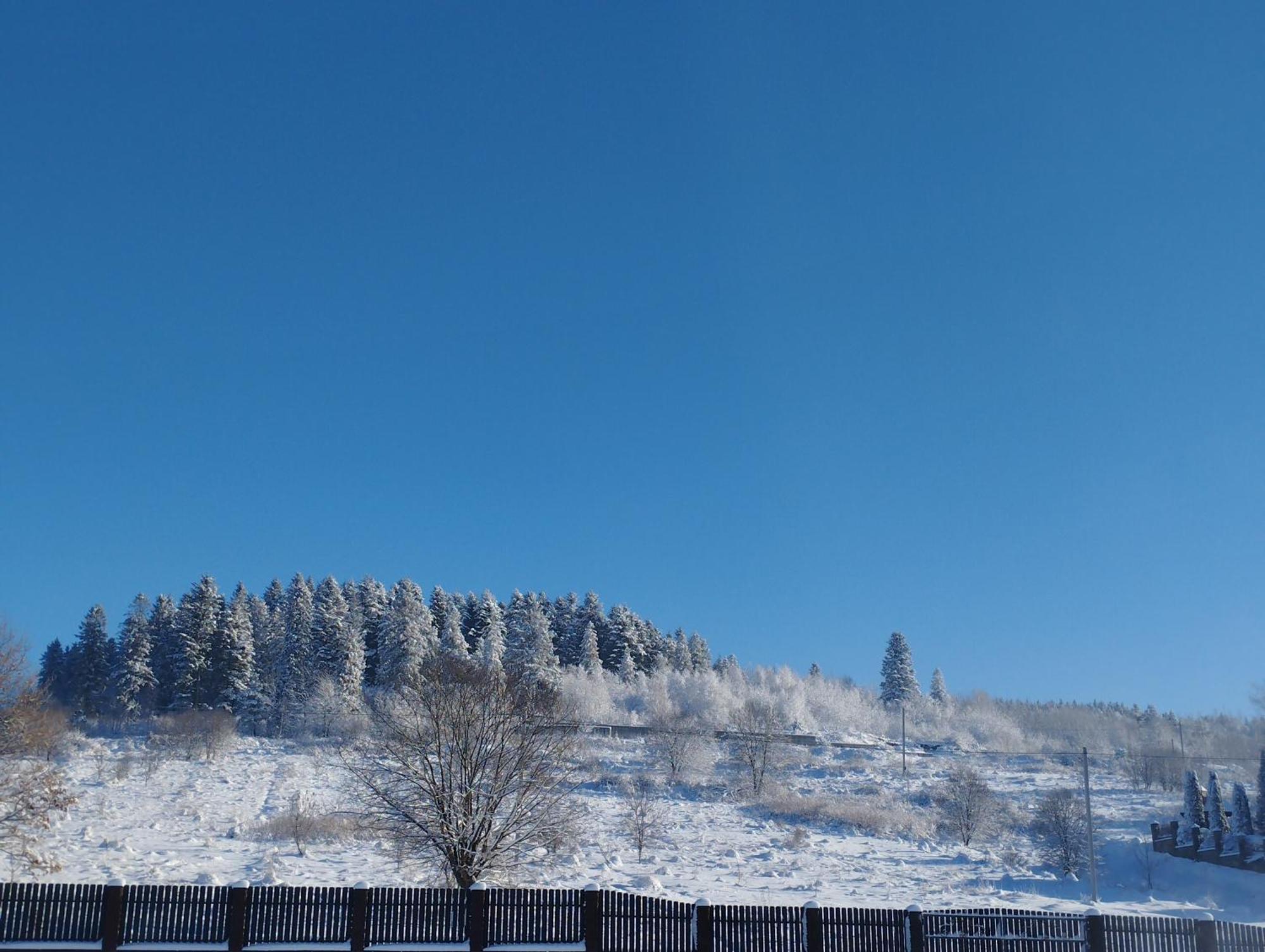 Перлина Карпат Apartment Skhidnytsia ภายนอก รูปภาพ
